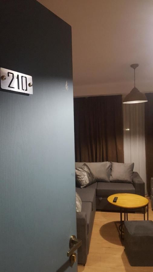 Апарт-отели Room in aparthotel Mgzavrebi X Bakuriani Бакуриани-19