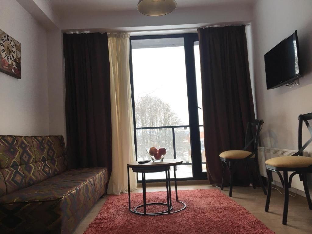 Апарт-отели Room in aparthotel Mgzavrebi X Bakuriani Бакуриани-74