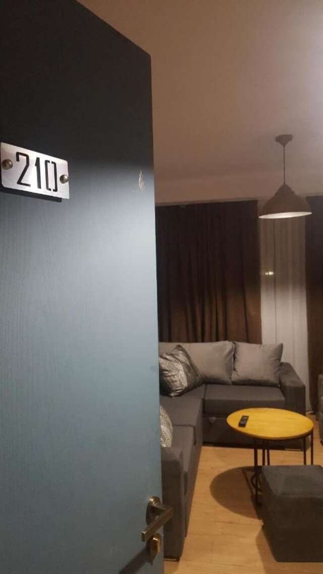 Апарт-отели Room in aparthotel Mgzavrebi X Bakuriani Бакуриани-18